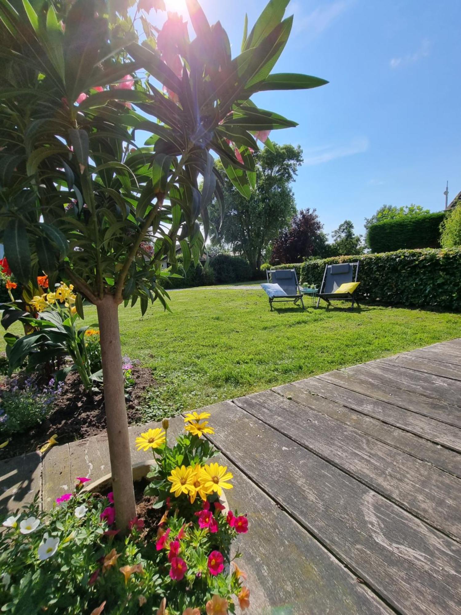 Rietmeer Vakantiehuis Friesland Gaastmeer Exteriér fotografie